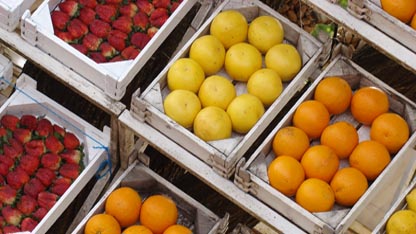 Fruit
